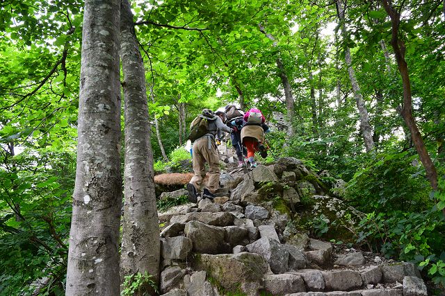 登り専用道を登る登山者