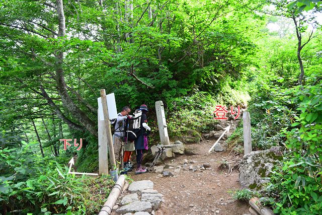 砂防新道 下り専用道への分岐