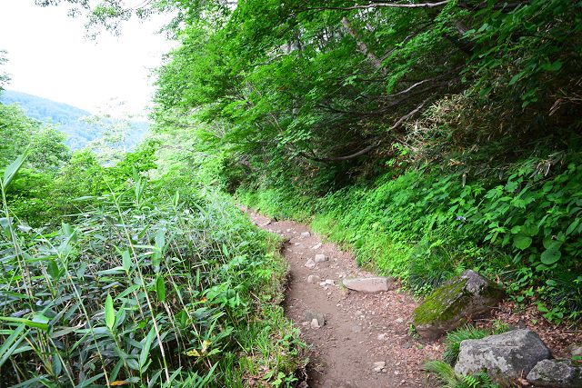 室堂まで5km地点から見た別当出合方向