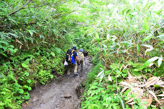 室堂まで3.4㎞地点から別当出合方向への登山道