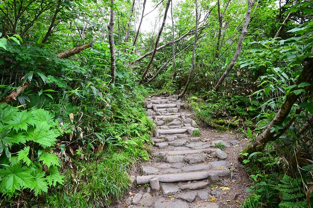 室堂まで3.4㎞地点から室堂方向への登山道