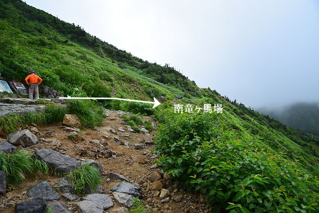 南竜道分岐から南竜ヶ馬場への登山道