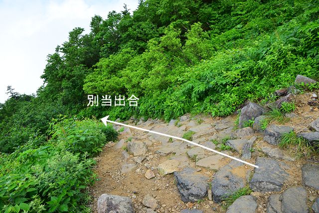 南竜道分岐から別当出合への登山道