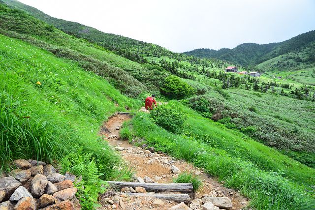 エコーライン分岐から南竜ヶ馬場への登山道