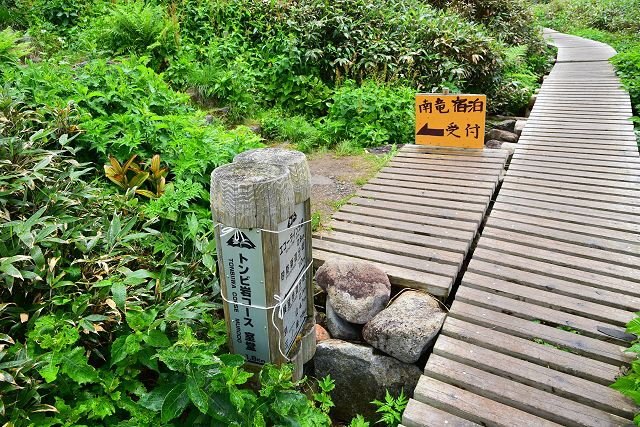 トンビ岩コース分岐