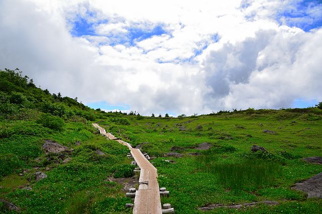 南竜庭園