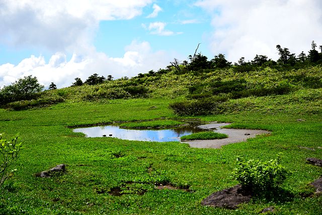 南竜庭園の池塘