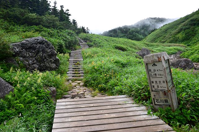 展望歩道分岐から眺めた室堂方向