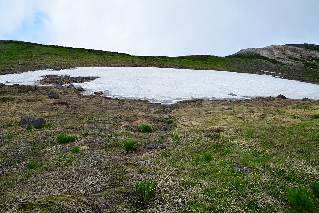 水屋尻雪渓