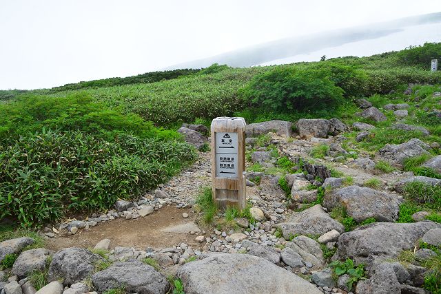 エコーライン分岐（砂防新道合流点）