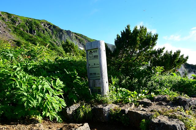 アルプス展望台の指導標