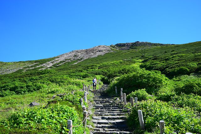 分岐から見上げた御前峰