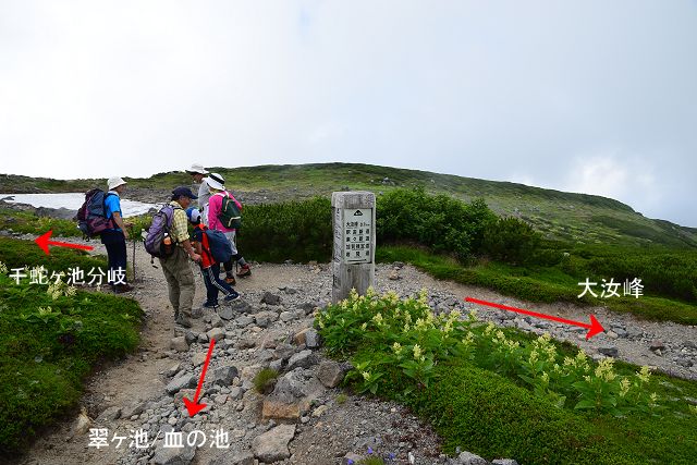 お池めぐり分岐