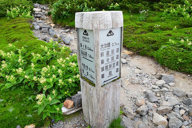 お池めぐり分岐の指導標