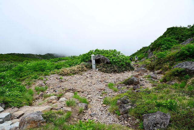 トンビ岩コース 室堂まで800m地点