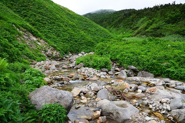 万才谷の橋の上流方向