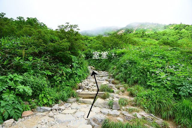 南竜道分岐から室堂への登山道