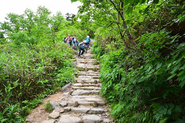 室堂まで2.2㎞地点から別当出合方向への登山道