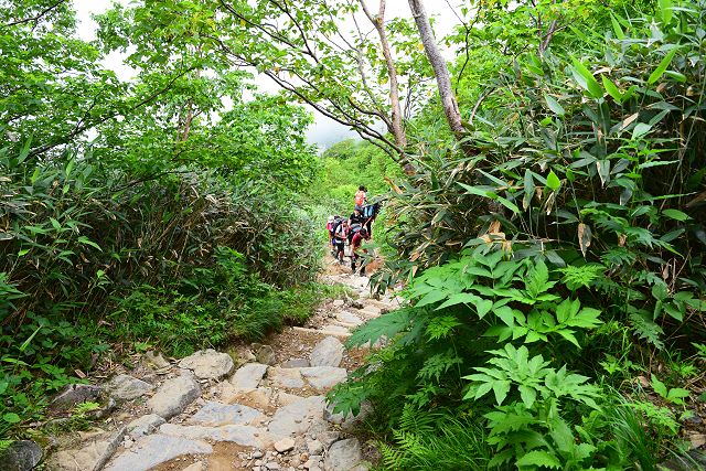 室堂まで2.2㎞地点から別当出合方向への登山道