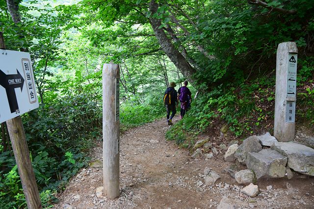 下り専用道への分岐から見た下り専用道