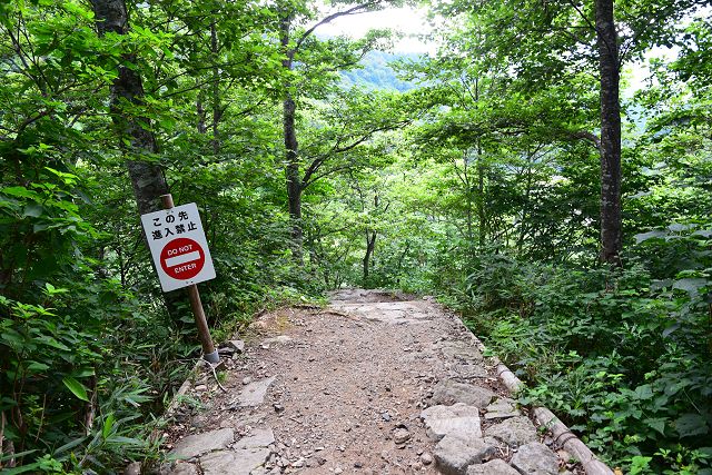 下り専用道への分岐から見た登り専用道