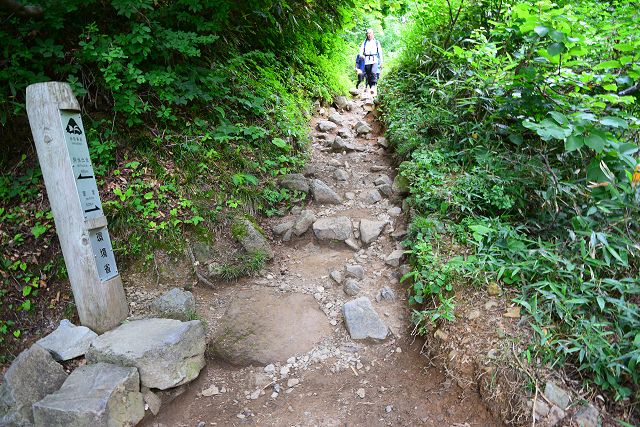 下り専用道への分岐から見た室堂方向