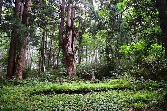 戸隠神社奥社 法燈国師母公祈願観音堂跡・宝篋印塔