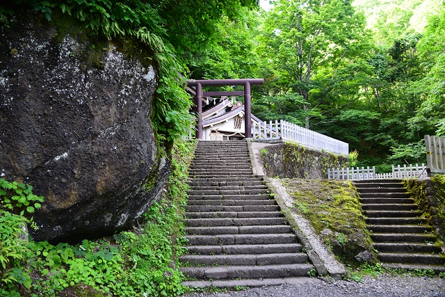 戸隠神社 奥社への石段と鳥居