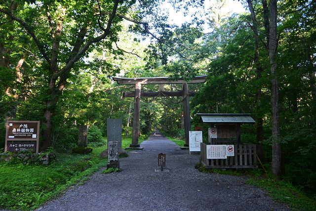 戸隠神社奥社入口