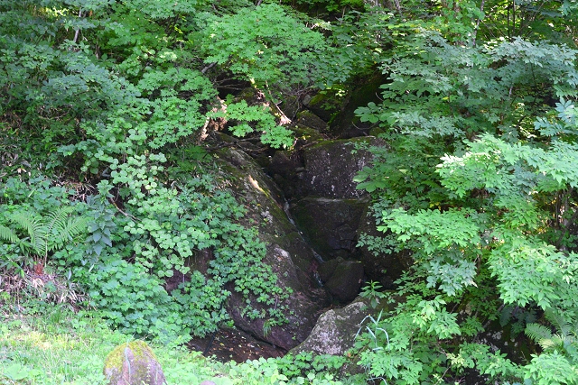 奥社横の滝