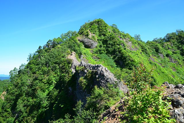 蟻の塔渡り