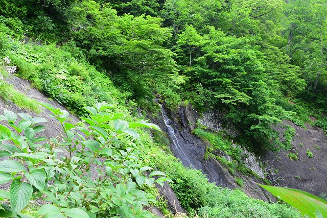 振り返ると向こうの岩場に滝が見えました