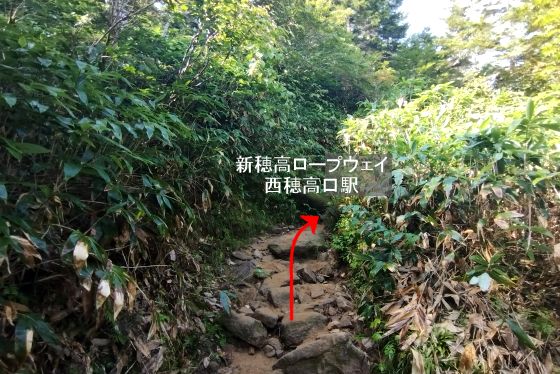 分岐から新穂高ロープウェイ西穂高口駅への登山道