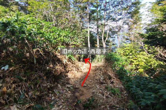 分岐から旧ボッカ道・西穂平への登山道