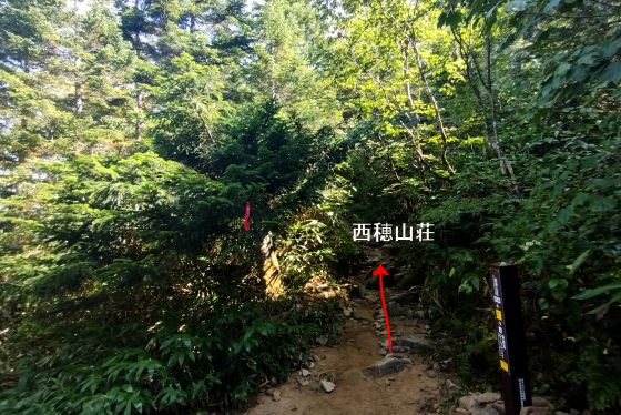 分岐から西穂山荘への登山道