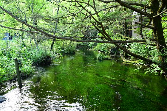 清水橋から見た清水川上流方向の流れ