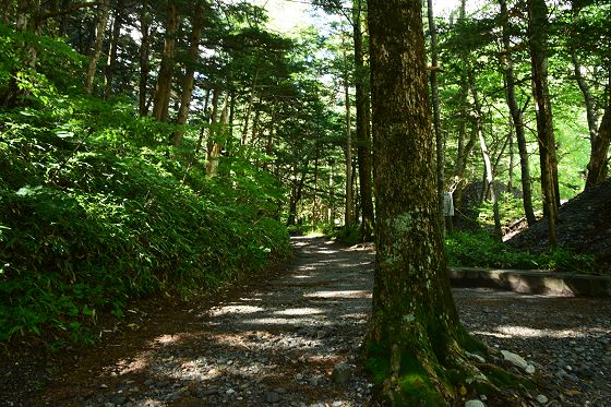 白沢出合・徳本峠入口から徳本峠方向への登山道