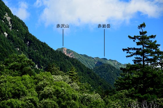 新村橋から眺めた赤沢山と赤岩岳