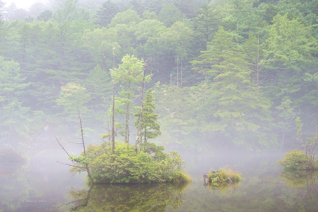 朝靄、明神池 二の池