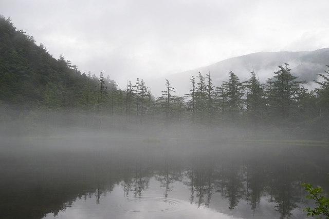 朝靄、明神池 一の池