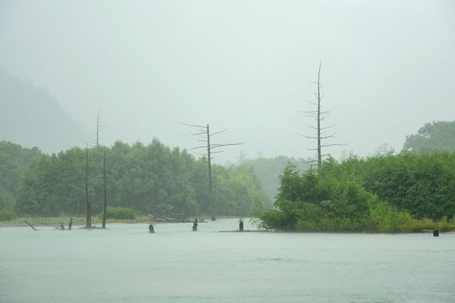 2015年夏、大正池