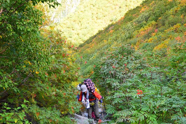 パノラマコース合流地点から横尾方向への登山道