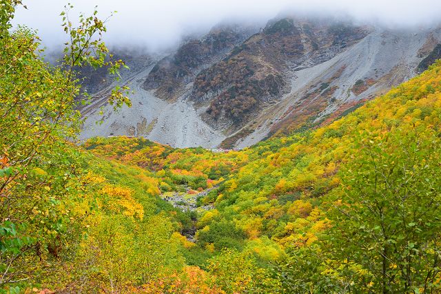 「Sガレ」からの紅葉の涸沢の谷