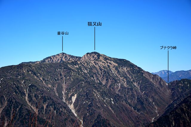 猫又山