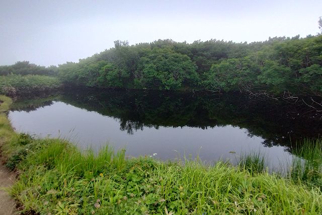 花見平の最北部にある池塘