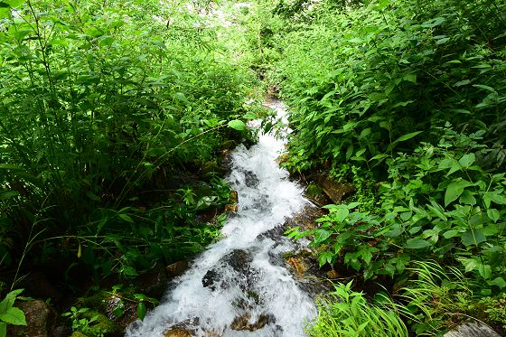 登山道から見た槍見沢の下流部