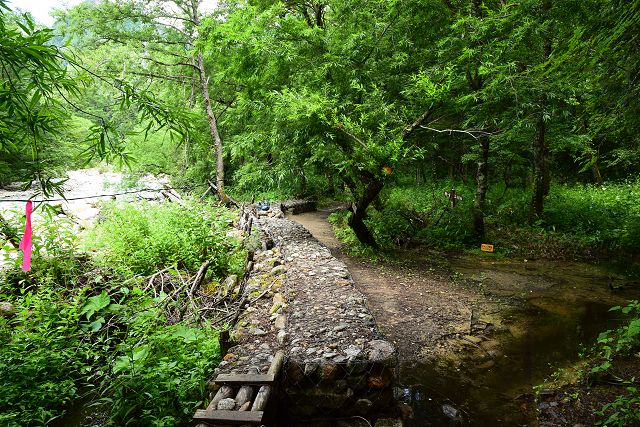 登山道から見た槍見沢の下流部