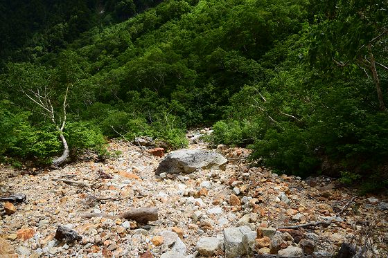 荒沢の谷側