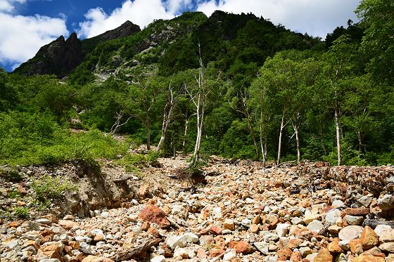 荒沢の山側（上流）