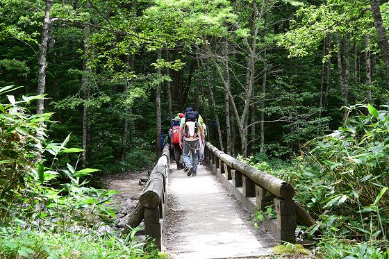 一ノ俣橋を渡る登山者（写真